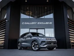Grijs Gebruikt 2024 VW Tiguan R-line Edition SUV | € 49.995 (Goede deal)