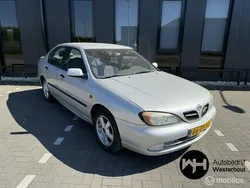 Grijs Gebruikt 2000 Nissan Primera Sedan | € 1.095