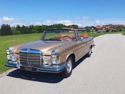 Goud Gebruikt 1969 Mercedes 280 SE Cabriolet | € 275.500