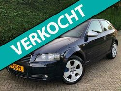 Blauw Gebruikt 2003 Audi A3 Ambition Hatchback | € 2.199 (Iets duurder)