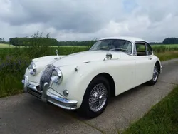 Witold english white Gebruikt 1960 Jaguar XK S Coupé | € 67.000