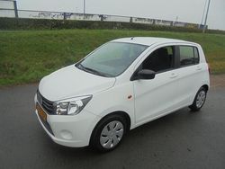 Wit Gebruikt 2019 Suzuki Celerio Comfort Hatchback | € 7.950 (Eerlijke prijs)