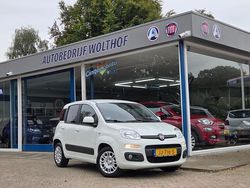 Wit Gebruikt 2016 Fiat Panda Lounge Hatchback | € 8.450 (Eerlijke prijs)