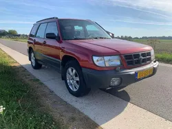 Rood Gebruikt 1999 Subaru Forester SUV | € 1.500 (Goede deal)