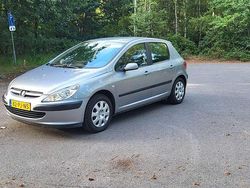 Grijs Gebruikt 2004 Peugeot 307 Hatchback | € 2.200 (Iets duurder)