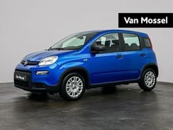 Blauw Gebruikt 2025 Fiat Panda Hatchback | € 20.695 (Eerlijke prijs)