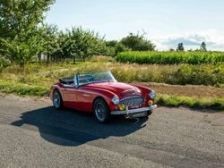 Roodcolorado red Gebruikt 1962 Austin Healey 3000 MK II Cabriolet | € 49.900