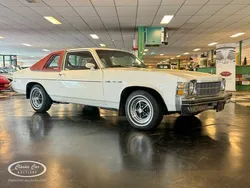 Wit Gebruikt 1976 Buick Skylark Coupé | € 17.500