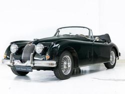 Groenbritish racing green Gebruikt 1960 Jaguar XK Cabriolet | € 117.500
