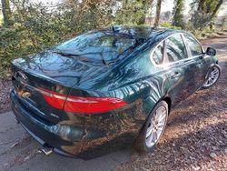 Groen Gebruikt 2016 Jaguar XF Sedan | € 12.500