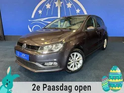 Paars Gebruikt 2016 VW Polo LOUNGE Hatchback | € 10.399 (Eerlijke prijs)