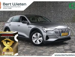 Grijs Gebruikt 2019 Audi e-tron SUV | € 24.290 (Super prijs)