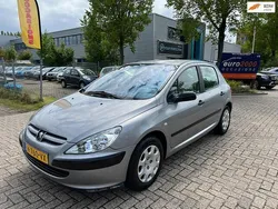 Grijs Gebruikt 2004 Peugeot 307 Hatchback | € 1.750 (Eerlijke prijs)