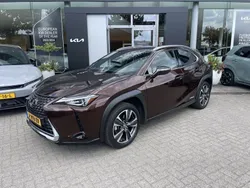 Bruin, metallic lak Gebruikt 2019 Lexus UX Executive Line SUV | € 26.945 (Super prijs)