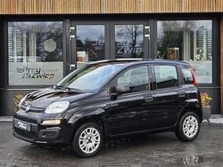 Overige Gebruikt 2019 Fiat Panda Pop Star Hatchback | € 7.950 (Goede deal)