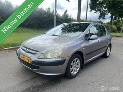Grijs Gebruikt 2003 Peugeot 307 Hatchback | € 1.195 (Eerlijke prijs)