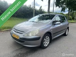 Grijs Gebruikt 2003 Peugeot 307 Hatchback | € 1.395 (Eerlijke prijs)