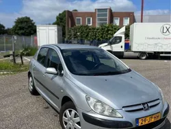 Grijs Gebruikt 2002 Peugeot 307 Hatchback | € 800 (Eerlijke prijs)