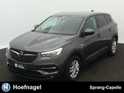 Grijs Gebruikt 2019 Opel Grandland X Enjoy SUV | € 14.500 (Eerlijke prijs)