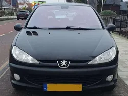 Gebruikt 2001 Peugeot 206 GTi Hatchback | € 999 (Goede deal)