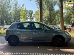 Grijs Gebruikt 2005 Peugeot 307 Premium Hatchback | € 849 (Goede deal)