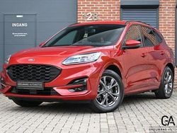 Rood Gebruikt 2020 Ford Kuga ST-Line SUV | € 24.950 (Eerlijke prijs)