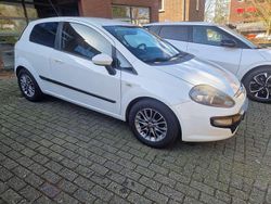 Wit Gebruikt 2012 Fiat Punto Hatchback | € 1.650 (Eerlijke prijs)