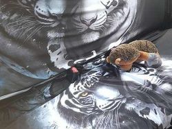 Zilver Gebruikt 2010 VW Polo Comfortline Hatchback | € 4.500 (Super prijs)