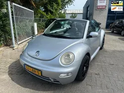 VW Beetle