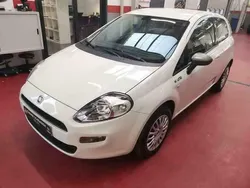 Wit Gebruikt 2014 Fiat Punto Young Hatchback | € 6.900 (Eerlijke prijs)
