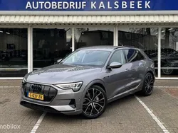 Grijs Gebruikt 2019 Audi e-tron Basis SUV | € 23.999 (Iets duurder)