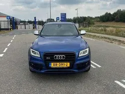 Blauw Gebruikt 2014 Audi SQ5 Proline SUV | € 23.500 (Eerlijke prijs)