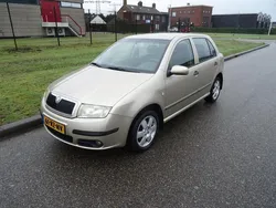 Beige Gebruikt 2005 Skoda Fabia Elegance Hatchback | € 1.795