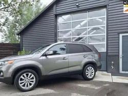 Bruin Gebruikt 2010 Kia Sorento SUV | € 5.900 (Super prijs)