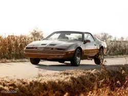 Bruin Gebruikt 1986 Pontiac Firebird | € 7.200