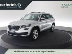 Grijs Gebruikt 2020 Skoda Kodiaq Business Line SUV | € 29.950 (Eerlijke prijs)