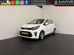 Wit Gebruikt 2019 Kia Picanto Hatchback | € 7.949 (Goede deal)
