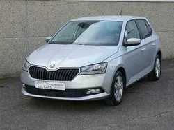 Zilver Gebruikt 2020 Skoda Fabia Ambition Sedan | € 14.490