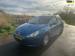 Blauw Gebruikt 2001 Peugeot 307 Hatchback | € 1.295 (Eerlijke prijs)