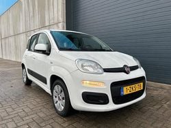 Wit Gebruikt 2015 Fiat Panda Hatchback | € 4.599 (Goede deal)