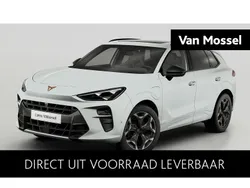 Wit Nieuw 2025 Cupra Terramar SUV | € 53.110 (Iets duurder)