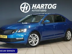 Blauw Gebruikt 2019 Skoda Octavia Business Line Hatchback | € 18.750 (Eerlijke prijs)