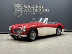 Rood Gebruikt 1961 Austin Healey 3000 MK II | € 53.500