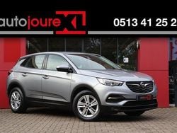 Grijs Gebruikt 2021 Opel Grandland X Business Edition SUV | € 14.950 (Eerlijke prijs)