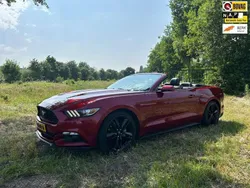 Rood Gebruikt 2015 Ford Mustang Convertible Cabriolet | € 32.999 (Eerlijke prijs)