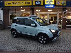 Groen Gebruikt 2020 Fiat Panda Cross Cross Hatchback | € 13.945 (Eerlijke prijs)
