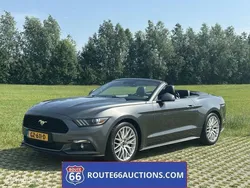 Grijs Gebruikt 2015 Ford Mustang Cabriolet | € 14.900