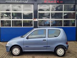 Blauw Gebruikt 2002 Fiat Seicento Hatchback | € 1.095 (Eerlijke prijs)