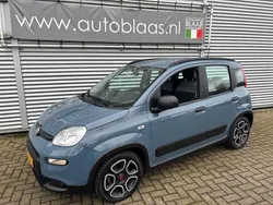 Blauw Gebruikt 2021 Fiat Panda City Life Hatchback | € 13.950 (Duur)