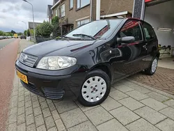 Zwart Gebruikt 2009 Fiat Punto Active Hatchback | € 2.450 (Goede deal)